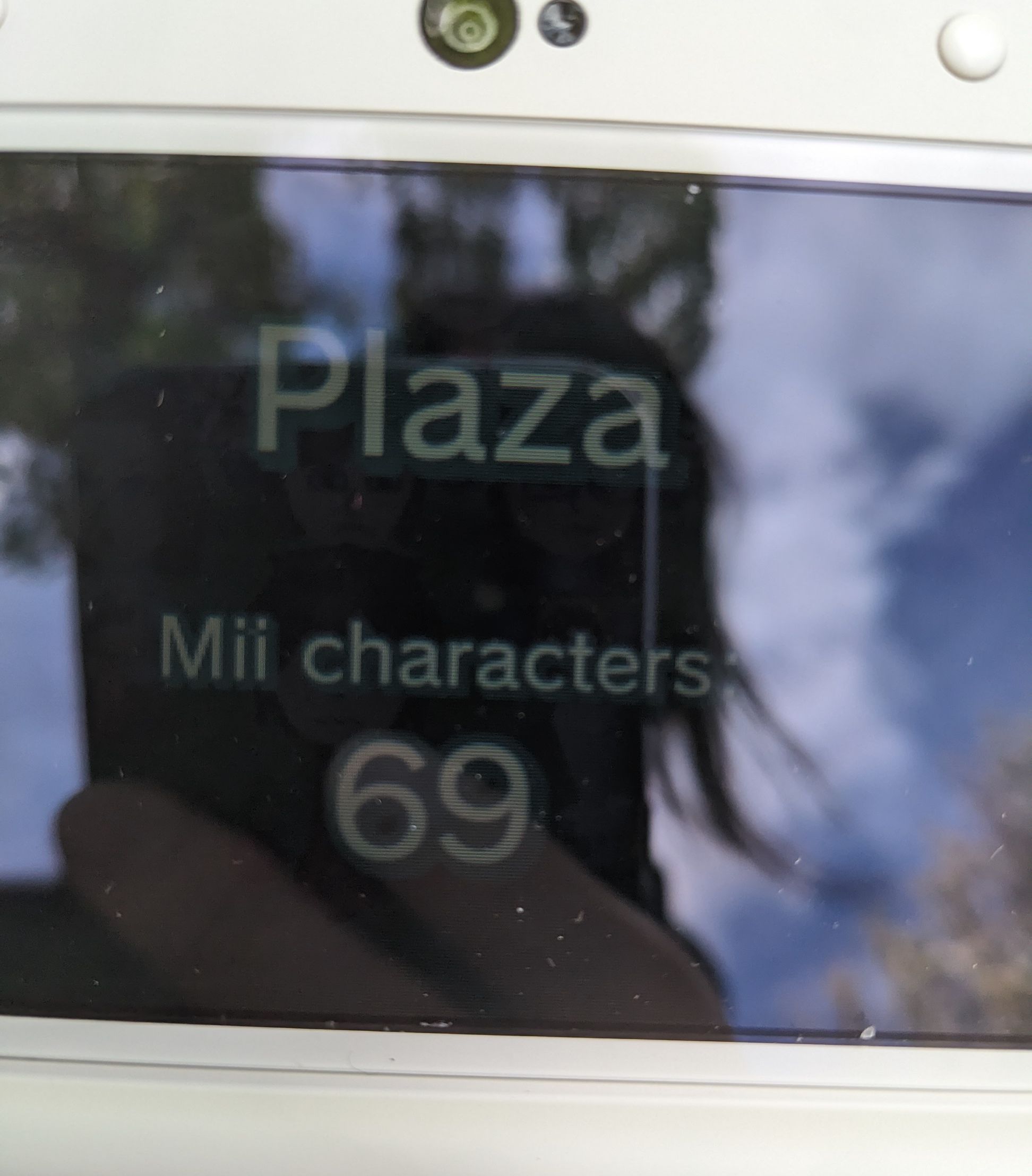 a picture of my 3ds with 69 streetpass characters a picture of my 3ds with 69 streetpass characters